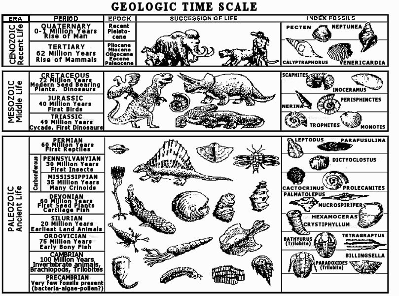 Free Printable Coloring Sheets Of The Earth'S Geologic Layers
 The Geologic Column Invented to “Free the science from