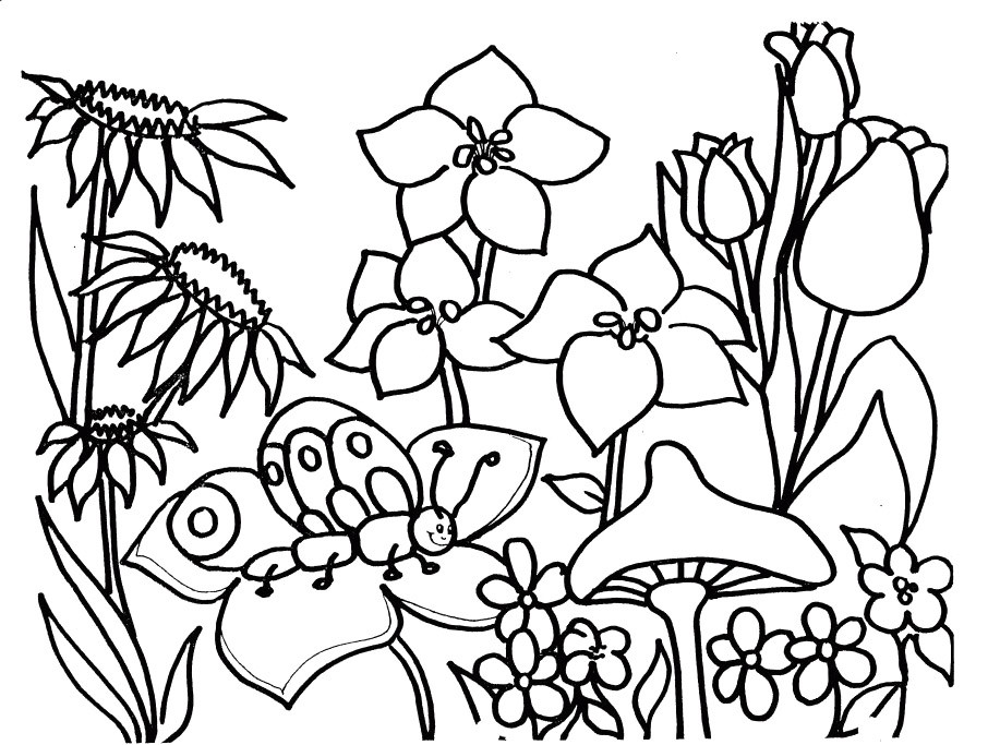 Free Printable Coloring Sheets Spring
 Free Spring Coloring Pages AZ Coloring Pages