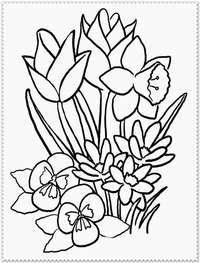 Free Printable Coloring Sheets Spring
 Spring Flower Coloring Page