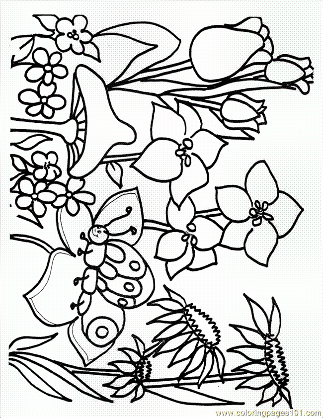 Free Printable Coloring Sheets Spring
 Free Spring Printable Coloring Pages Coloring Home