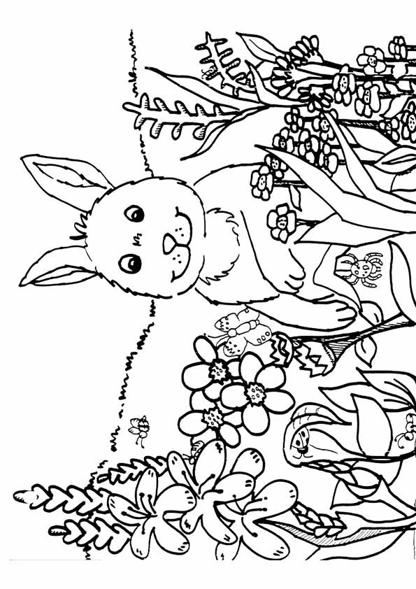 Free Printable Coloring Sheets Spring
 Spring Coloring Pages Best Coloring Pages For Kids