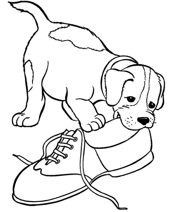 Free Printable Dog Coloring Pages
 Puppy Coloring Pages Dog Coloring Pages Free Printable