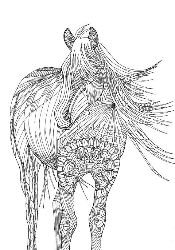 Free Printable Horse Coloring Pages For Adults
 Horse Amazing Animals Colouring Pages by Joenay