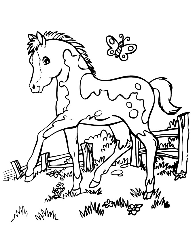 Free Printable Horse Coloring Pages For Adults
 Horse Coloring Pages For Adults Coloring Home