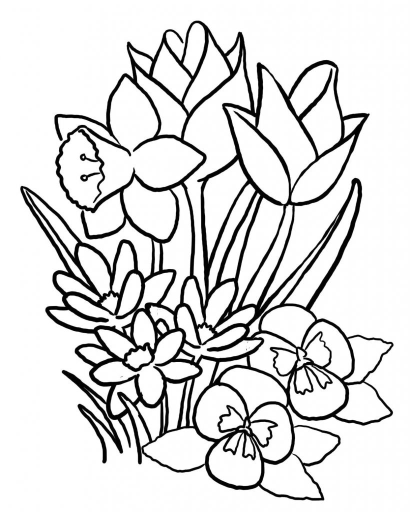 Free Printable Spring Coloring Pages
 Free Printable Flower Coloring Pages For Kids Best