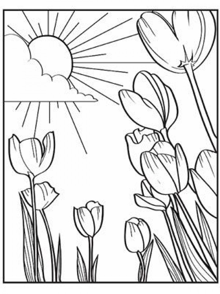 Free Printable Spring Coloring Pages
 Get This Spring Coloring Pages Free to Print j6hdb