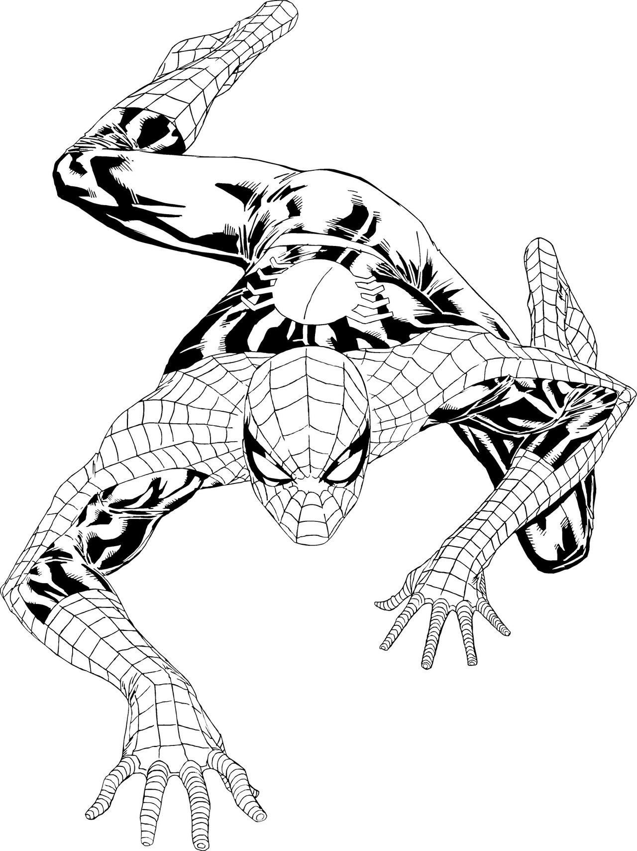 Free Spiderman Printable Coloring Sheets
 Free Printable Spiderman Coloring Pages For Kids