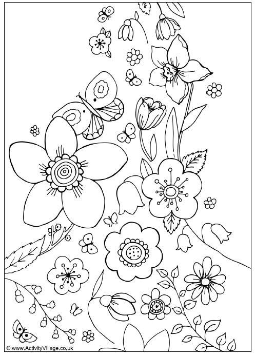 Free Spring Coloring Pages For Adults
 transmissionpress Spring Flowers Coloring Page