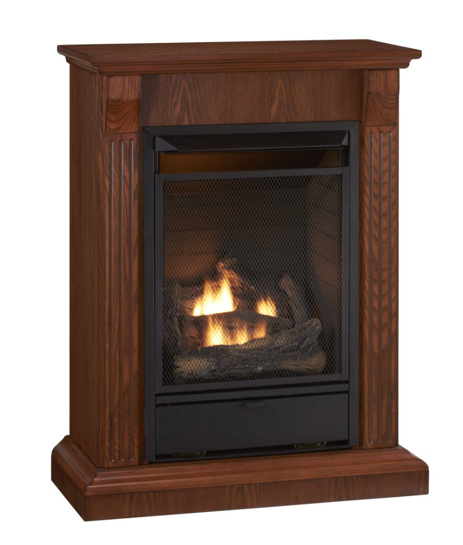 Best ideas about Free Standing Propane Fireplace
. Save or Pin Free Standing Gas Fireplaces KVRiver Now.