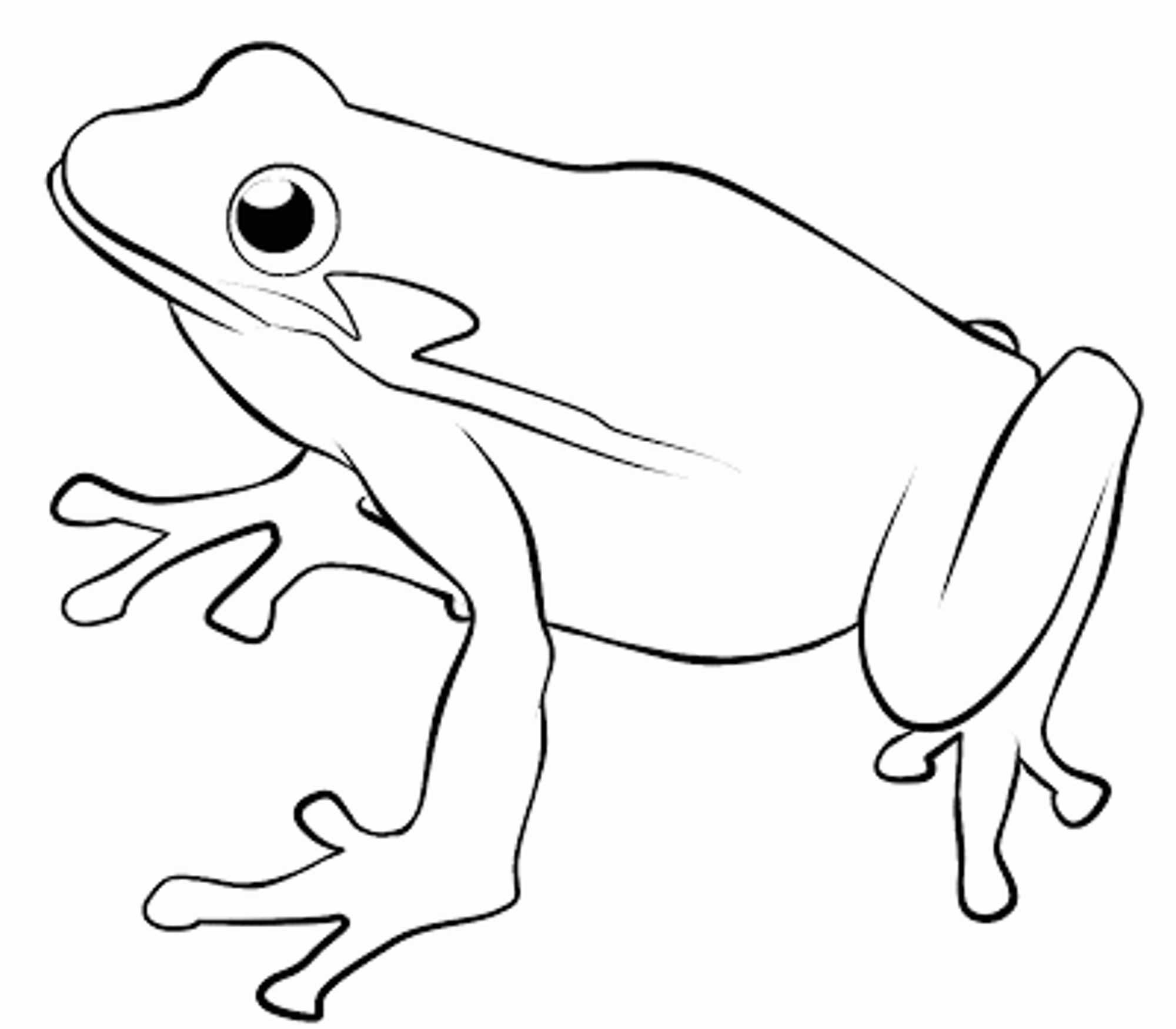 Frog Coloring Pages
 Print & Download Frog Coloring Pages Theme for Kids