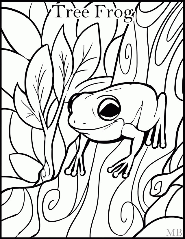 Frog Coloring Sheet
 Tree Frog Coloring Pages Coloring Home