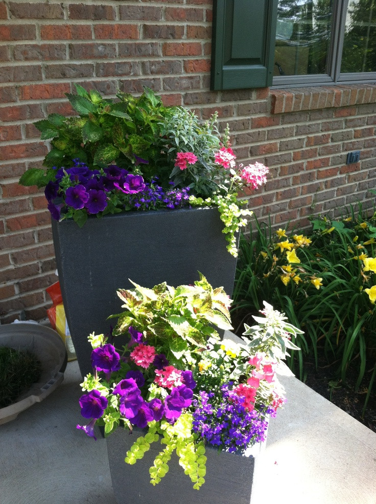 Best ideas about Front Porch Planters
. Save or Pin 17 Best images about Front porch planters on Pinterest Now.