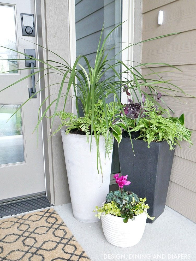 Best ideas about Front Porch Planters
. Save or Pin Front Porch Planter Ideas Taryn Whiteaker Now.