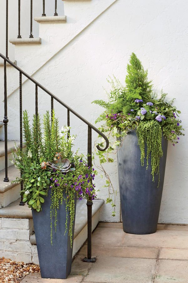 Best ideas about Front Porch Planters
. Save or Pin Planters astounding front porch planters Outdoor Now.