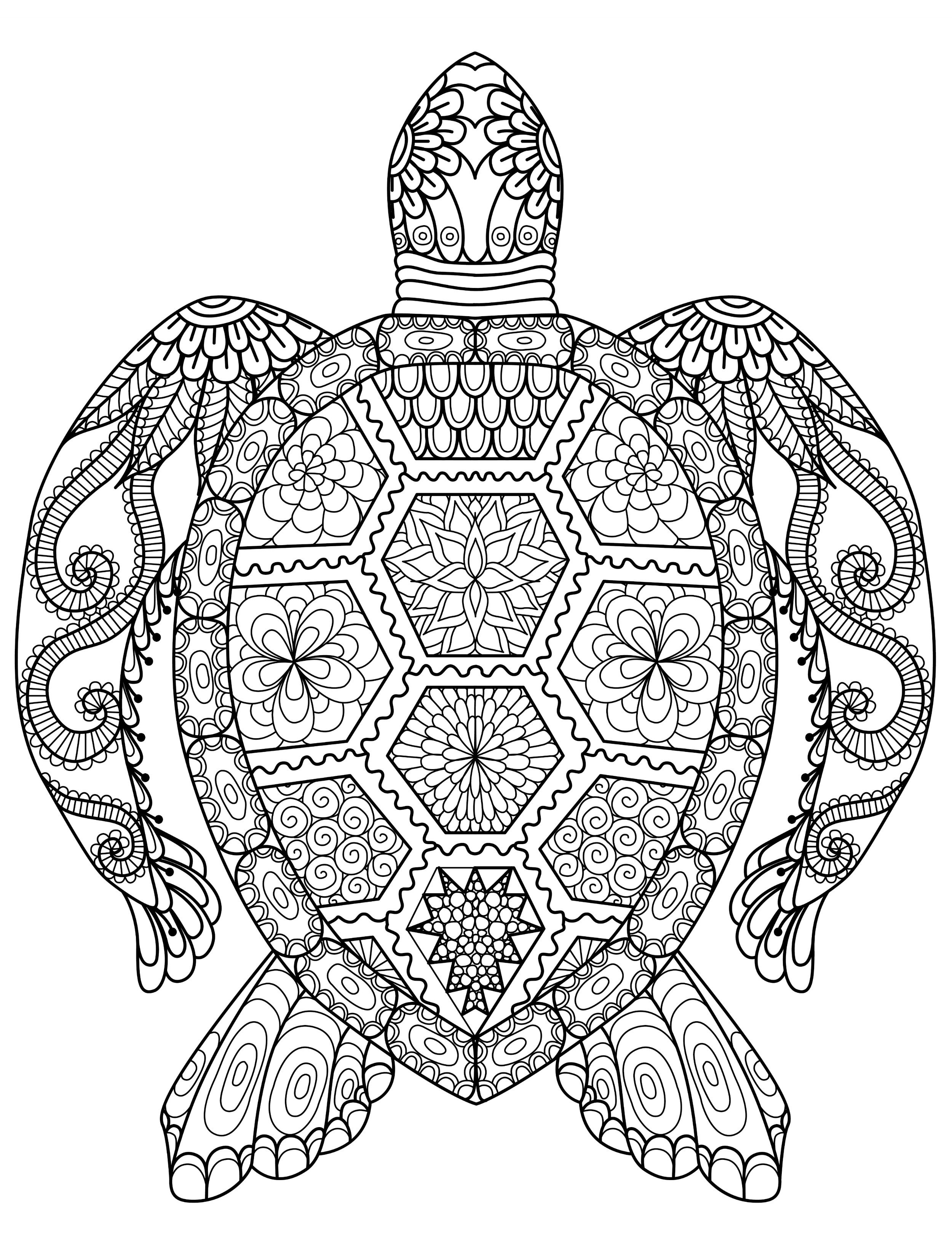 Fun Coloring Pages For Adults
 Adult Coloring Pages Animals Best Coloring Pages For Kids