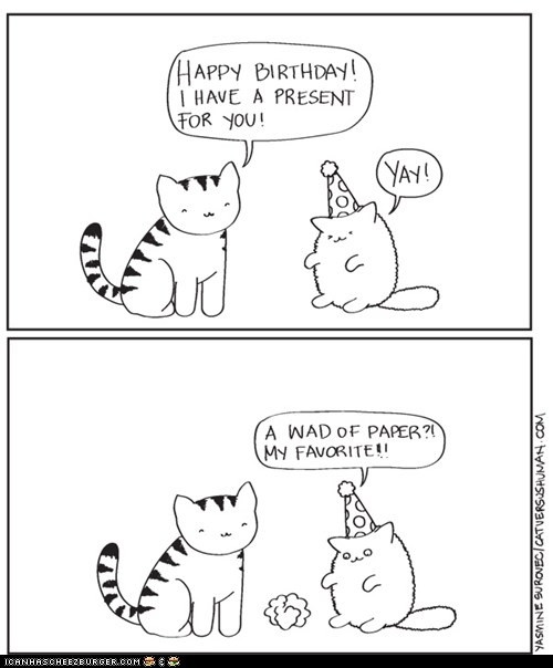 Funny Birthday Puns
 Happy birthday cat Puns