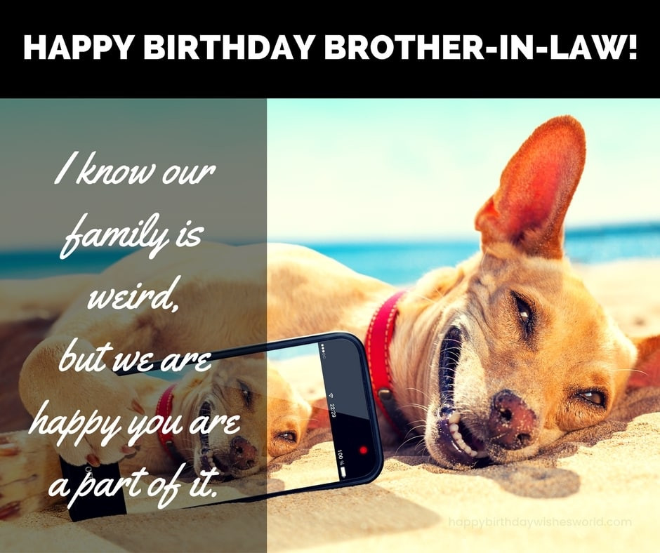 Funny Birthday Wishes For Brother In Law
 100 Happy Birthday Brother in Law Wishes Find the
