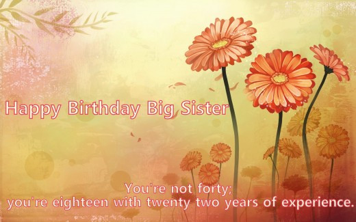 Funny Birthday Wishes For Elder Sister
 Wonderful Greetings Birthday Wishes For Elder Sister