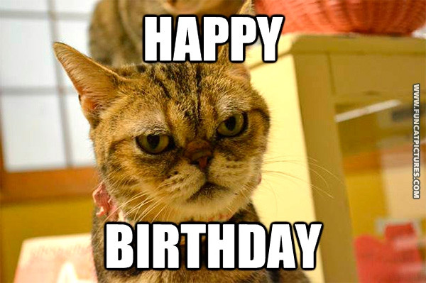 Funny Cat Birthday Picture
 Birthday Archives