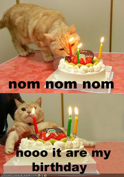 Funny Cat Birthday Picture
 Funny funny birthday pictures