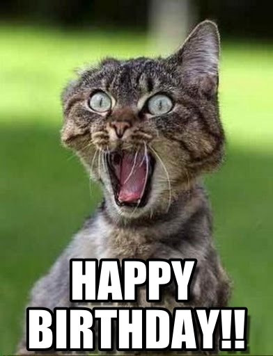 Funny Cat Birthday Picture
 Funny Happy Birthday Cat Memes Screaming Sister Litle Pups