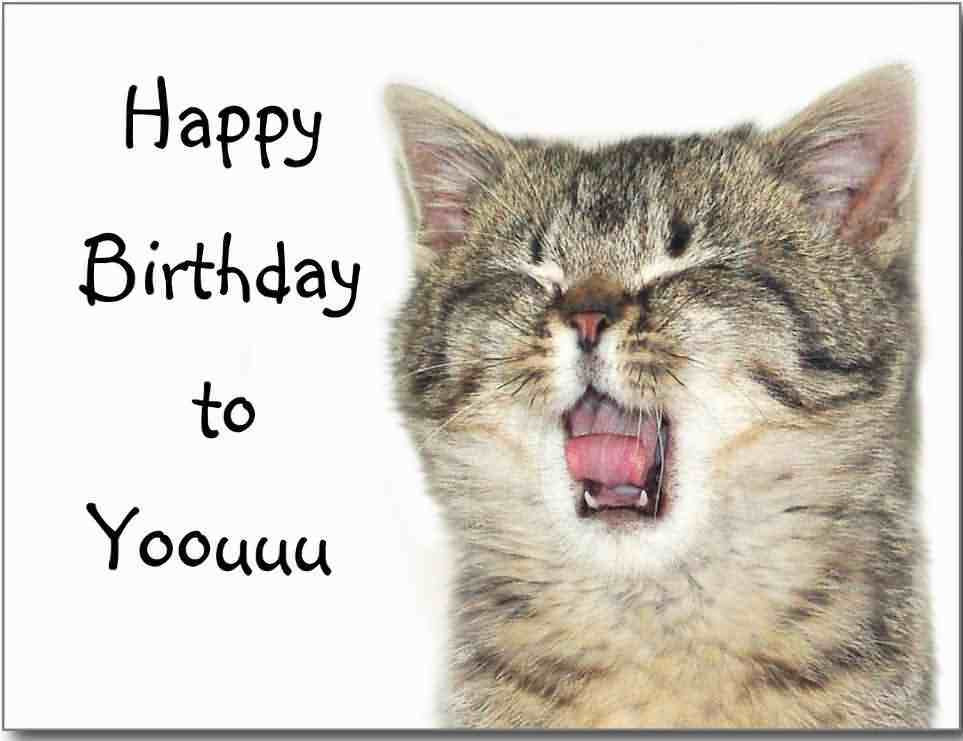 Funny Cat Birthday Picture
 41 Best Funny Birthday Wishes For Birthday Boy Girl Aunt