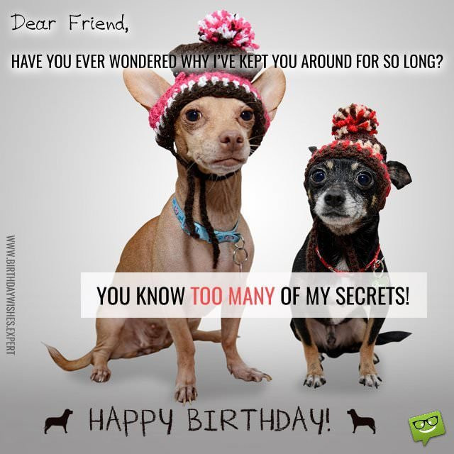 Funny Friend Birthday
 Funny Birthday Wishes for your Family & Friends