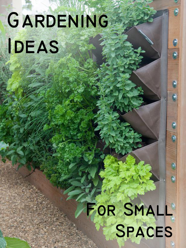 Best ideas about Garden Ideas For Small Spaces
. Save or Pin Gardening Ideas for a Small Space Sunlit Spaces Now.
