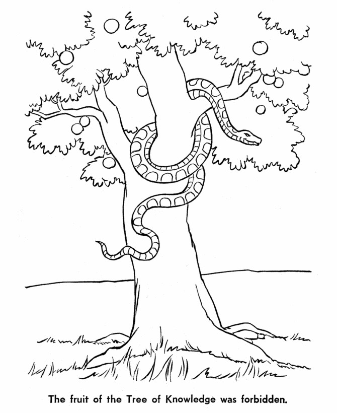 Garden Of Eden Coloring Pages
 Bible Story Color Pages Coloring Home