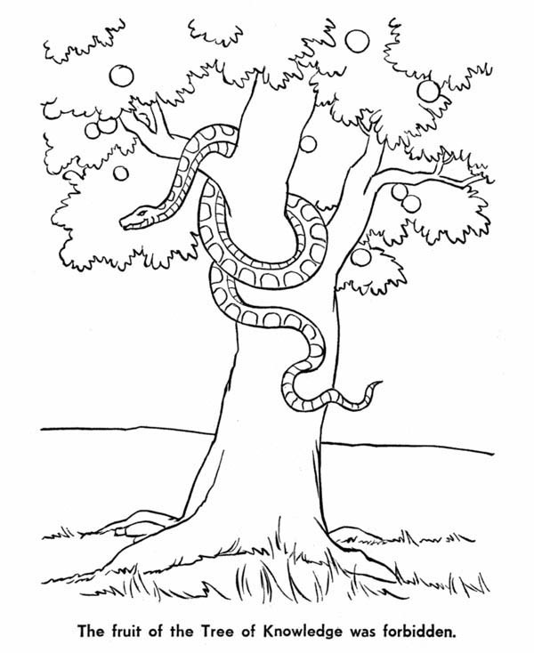 Garden Of Eden Coloring Pages
 of Eden Snake and Tree of Knowledge in Garden of Eden