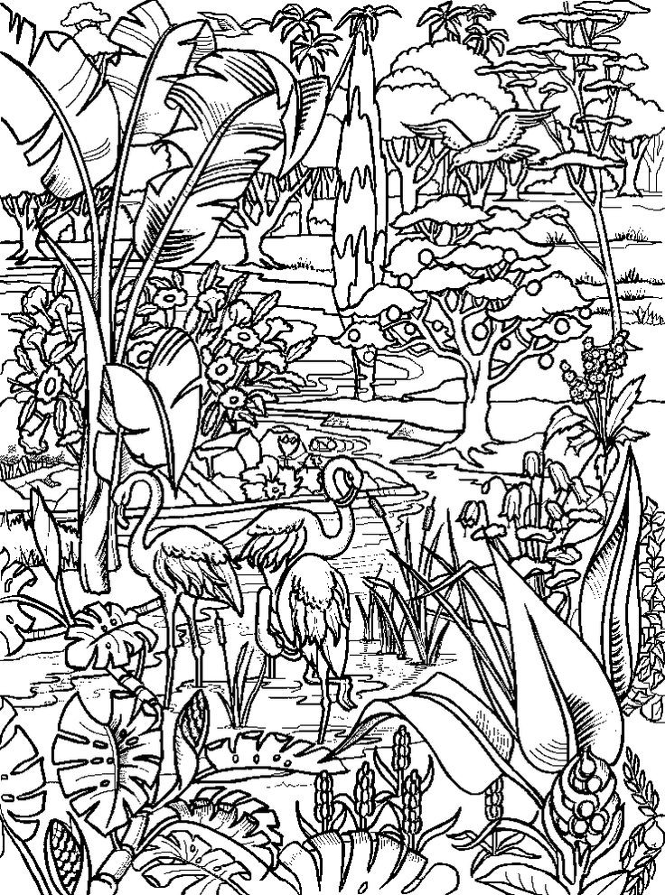 Garden Of Eden Coloring Pages
 54 best images about Adam Eve Creation on Pinterest