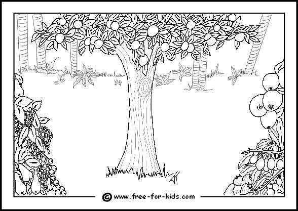 Garden Of Eden Coloring Pages
 85 best images about colouring pages on Pinterest