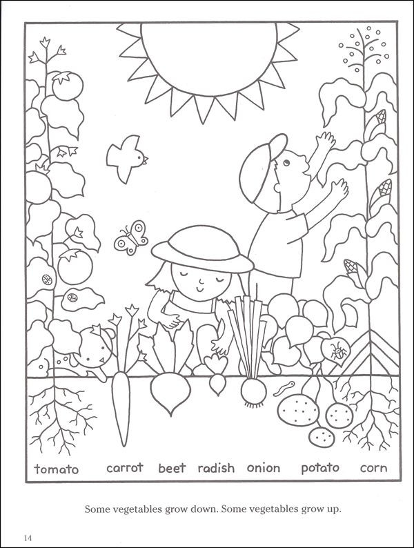 Garden Week Preschool Coloring Sheets
 15 best images about 4 H Garden Coloring Pages on Pinterest