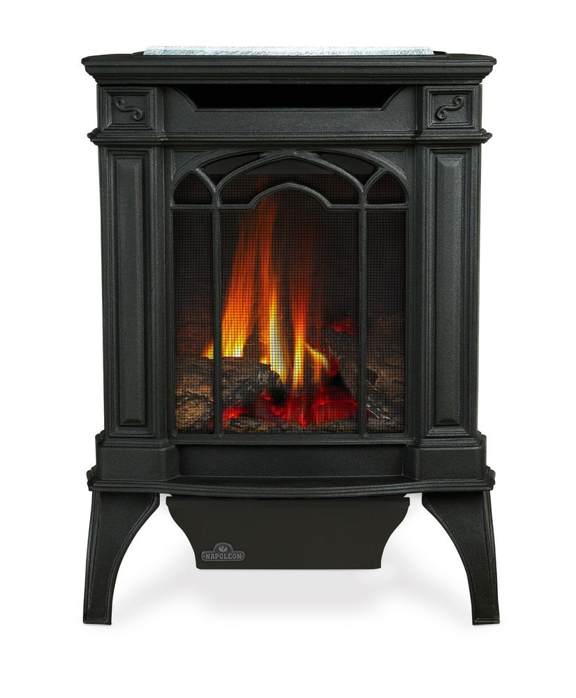 Best ideas about Gas Fireplace Stove
. Save or Pin Napoleon GDS20 Arlington Gas Fireplace Stove Small Cast Now.