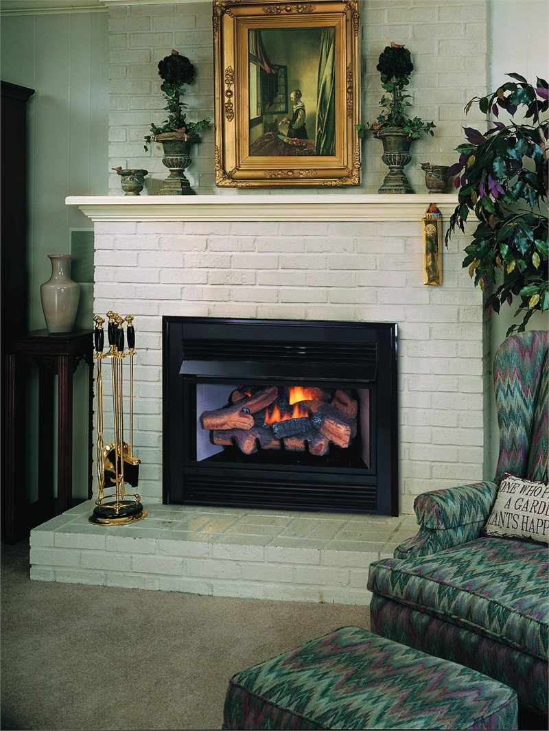 Best ideas about Gas Log Fireplace Insert
. Save or Pin How To Build A Vent Free Gas Fireplace Now.
