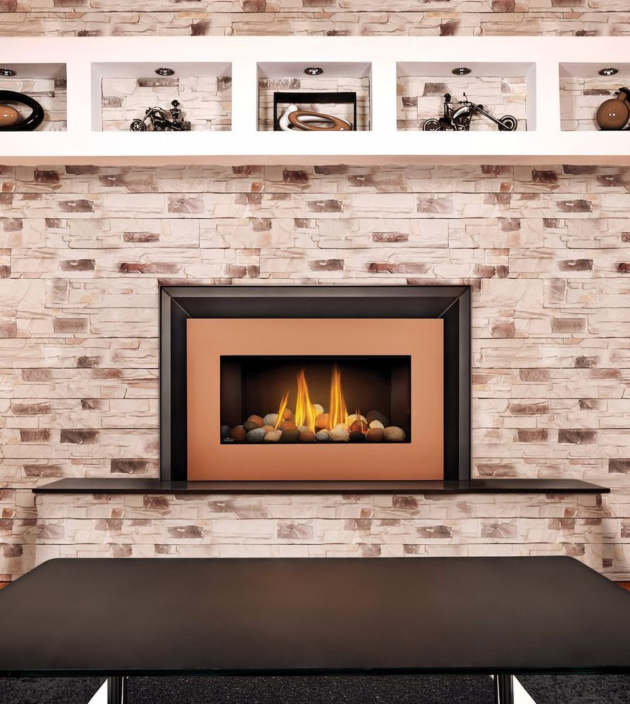 Best ideas about Gas Log Fireplace Insert
. Save or Pin Napoleon GDI 30 Roxbury Gas Fireplace Insert Log River Now.