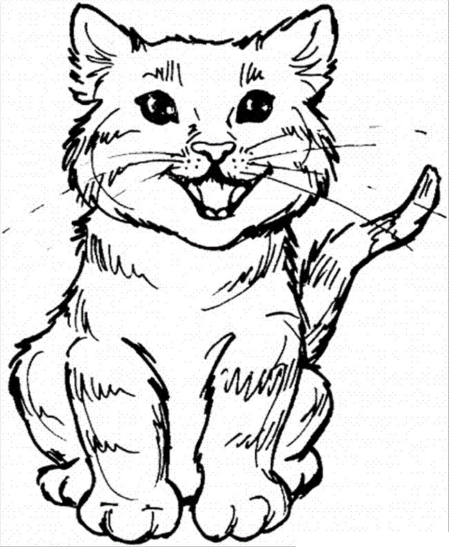 Giant Coloring Books For Toddlers
 Free Printable Cat Coloring Pages For Kids
