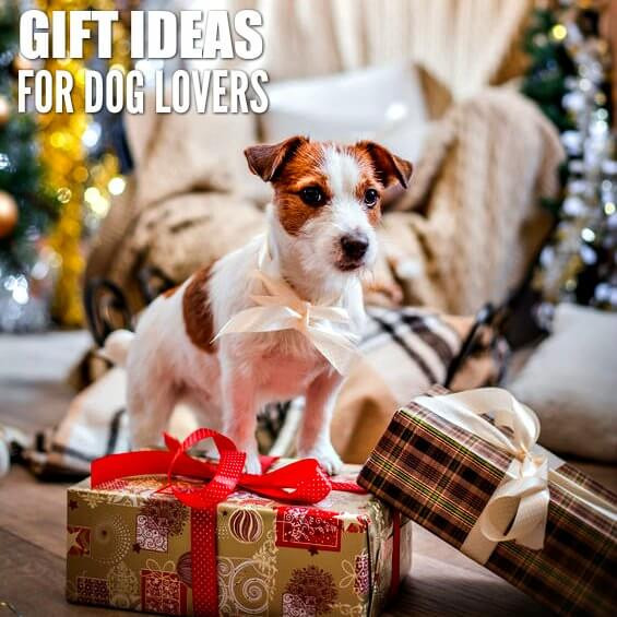 Gift Ideas For Dog Lovers
 Gift Ideas for Dog Owners 25 Presents for Dog Lovers