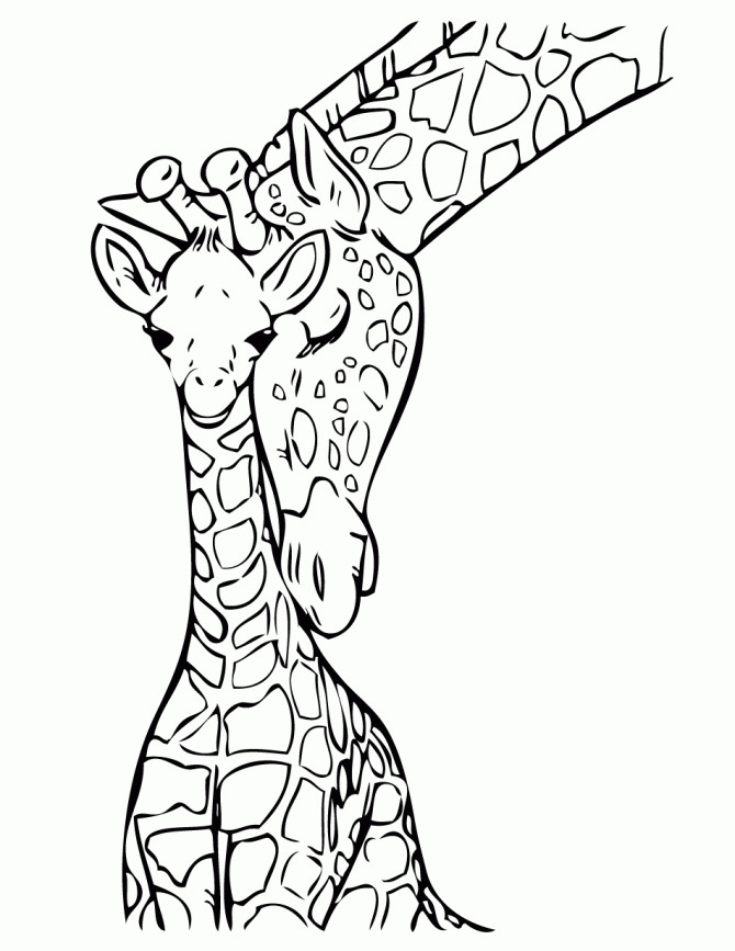 Giraffe Coloring Pages For Kids
 Giraffe Coloring Pages Bestofcoloring