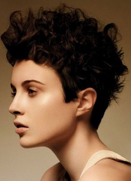 Good Haircuts For Curly Hair
 Short Haircuts For Curly Hair