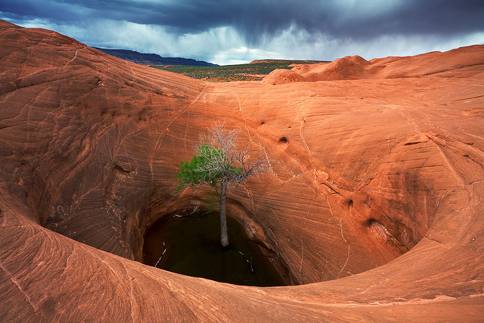 Best ideas about Grand Staircase Utah
. Save or Pin A Visitors Guide to Escalante Grand Staircase National Now.