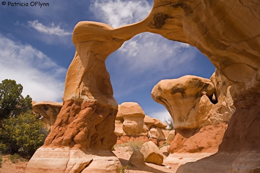 Best ideas about Grand Staircase Utah
. Save or Pin Grand Staircase Escalante National Monument Now.