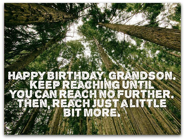 Grandson Birthday Quote
 Grandson Birthday Wishes Page 2