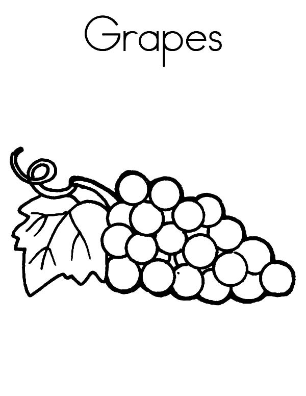 Grapes Coloring Pages
 Grapes for Raisins Coloring Pages