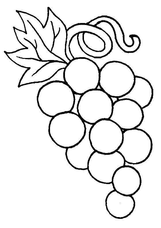 Grapes Coloring Pages
 Free Grapes Coloring Pages