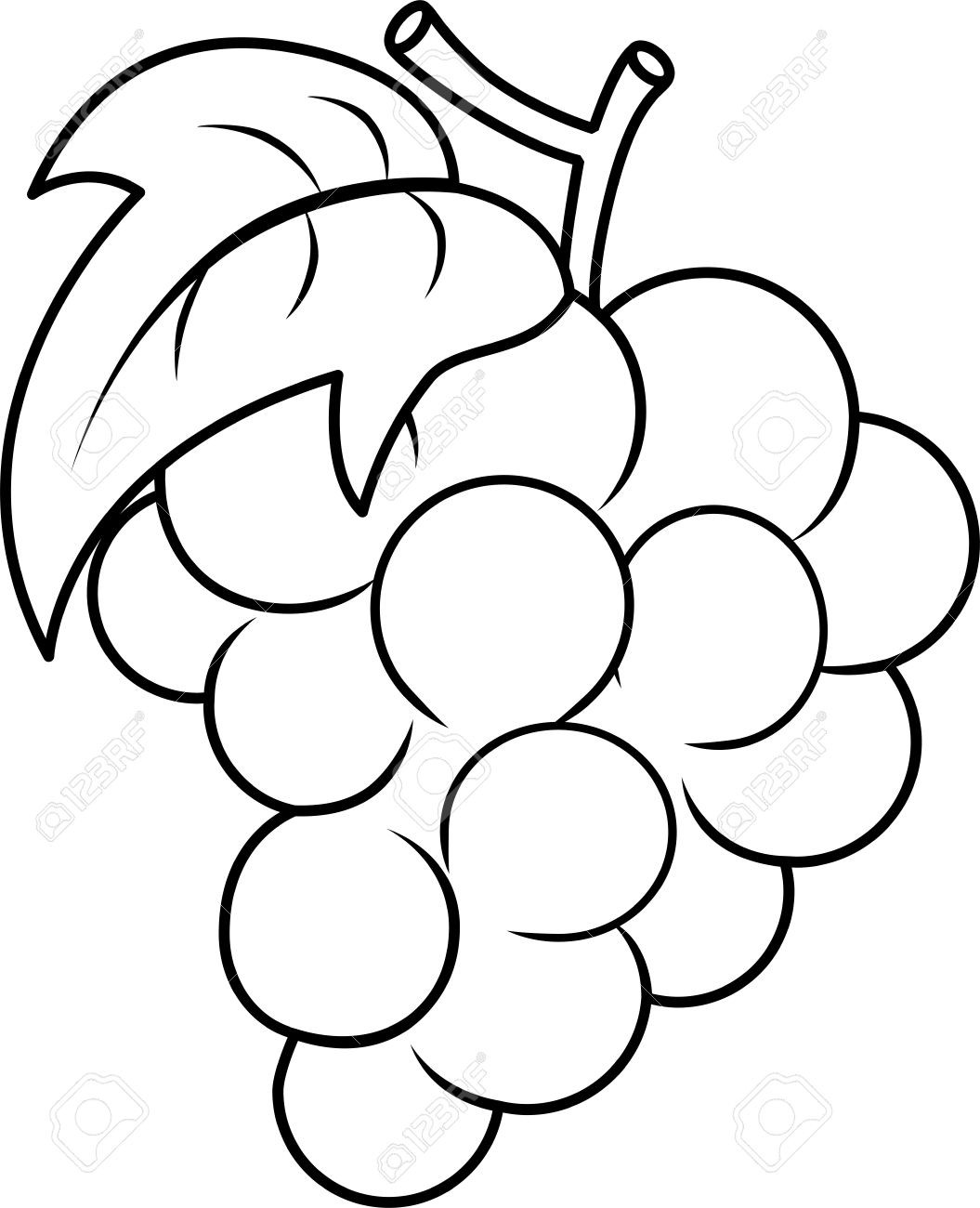 Grapes Coloring Pages
 Grapes clipart outline Pencil and in color grapes