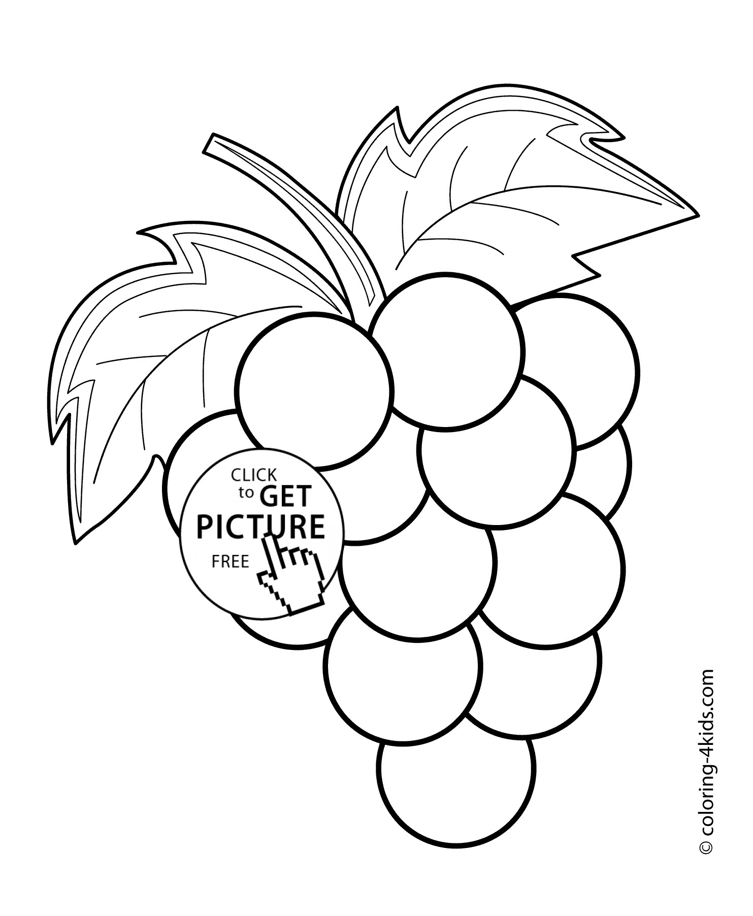 Grapes Coloring Pages
 Grapes fruits and berries coloring pages for kids