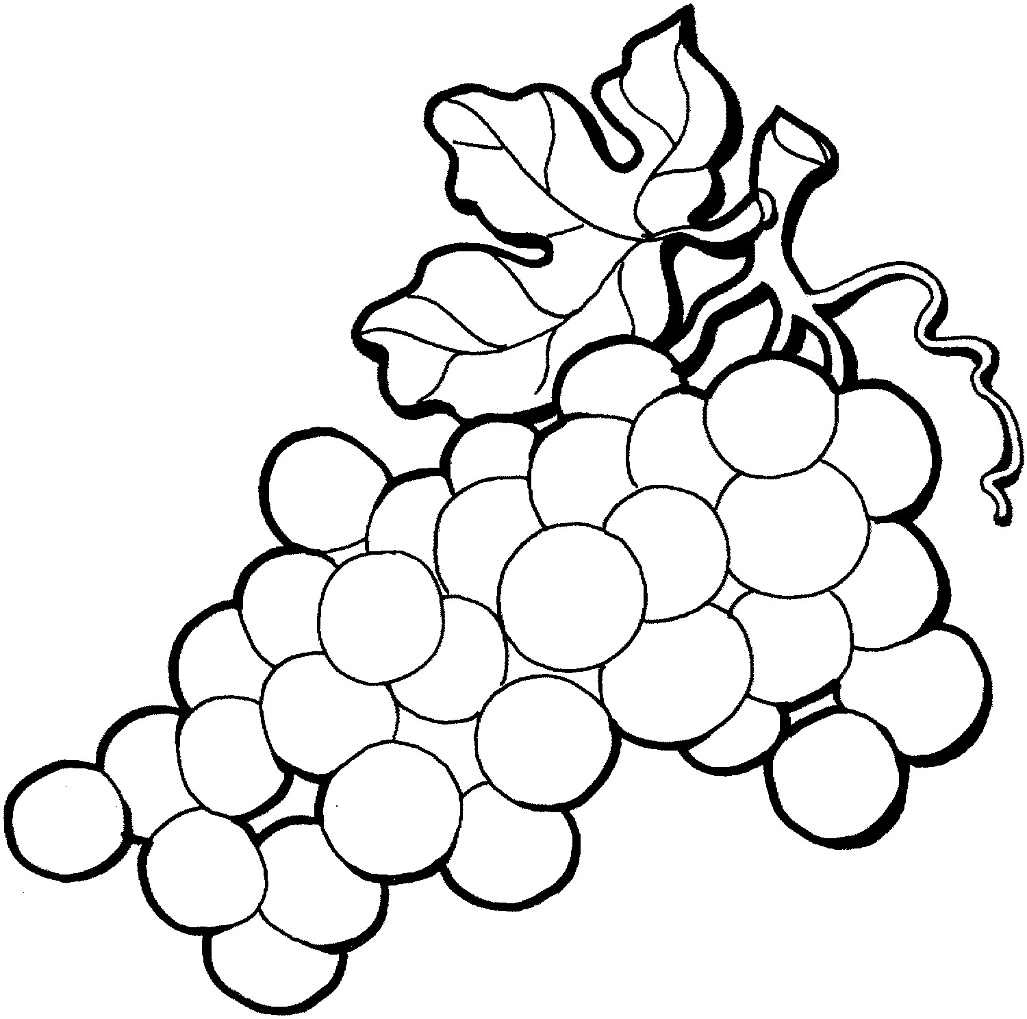 Grapes Coloring Pages
 Drawing Grapes ClipArt Best