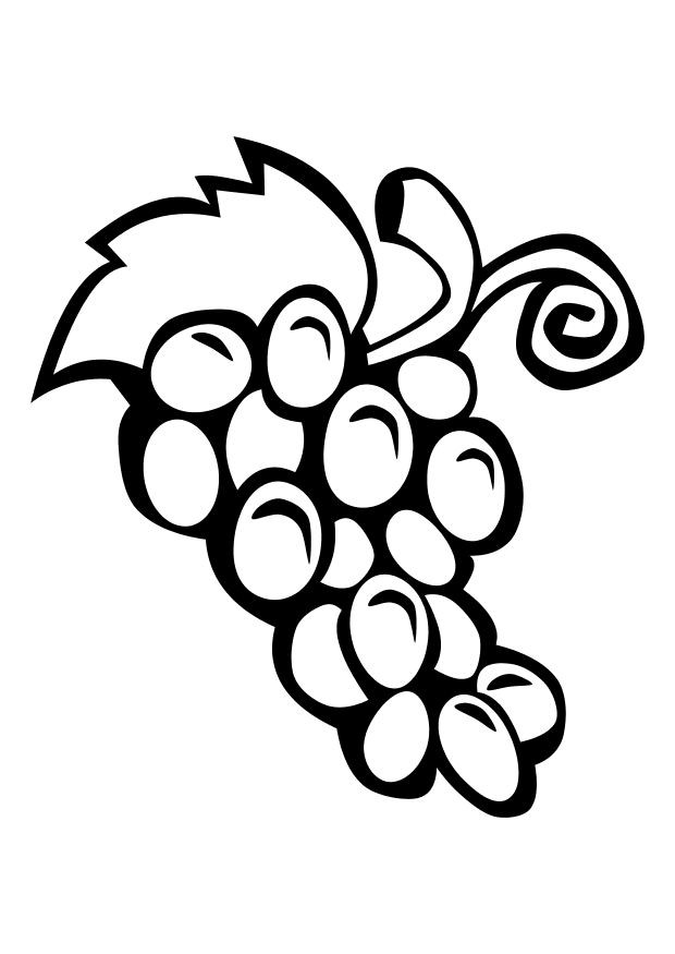 Grapes Coloring Pages
 Free Grapes Coloring Pages