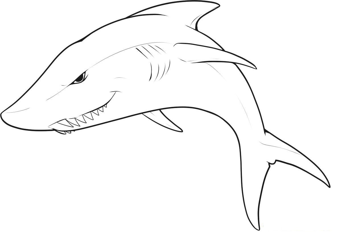 Great White Shark Coloring Pages
 Free Printable Shark Coloring Pages For Kids